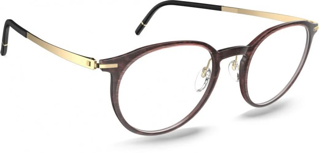 Silhouette Momentum Aurum L012 Eyeglasses - view 6